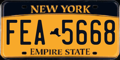 NY license plate FEA5668
