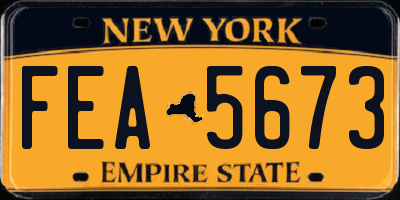 NY license plate FEA5673