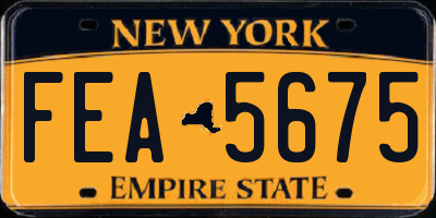 NY license plate FEA5675