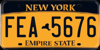 NY license plate FEA5676