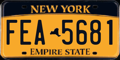 NY license plate FEA5681