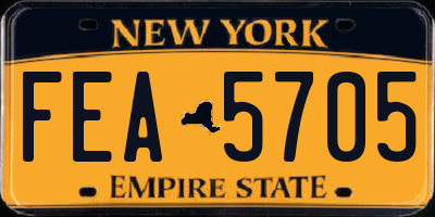 NY license plate FEA5705
