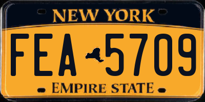 NY license plate FEA5709