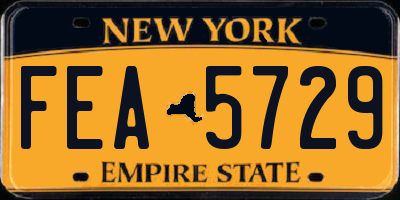 NY license plate FEA5729