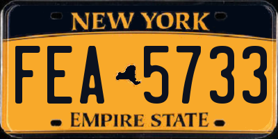 NY license plate FEA5733