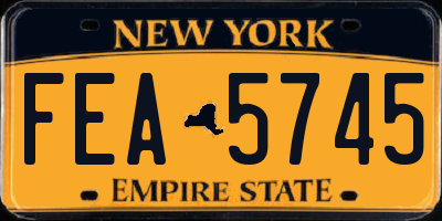 NY license plate FEA5745