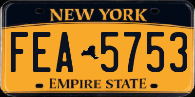 NY license plate FEA5753