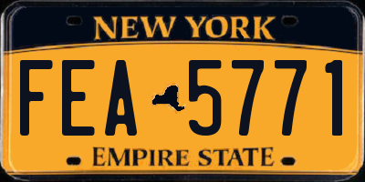 NY license plate FEA5771