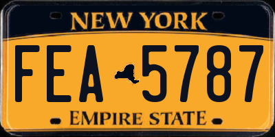 NY license plate FEA5787