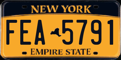 NY license plate FEA5791