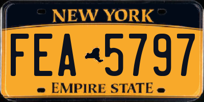 NY license plate FEA5797