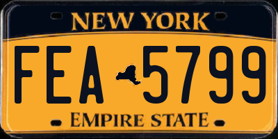 NY license plate FEA5799