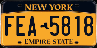 NY license plate FEA5818