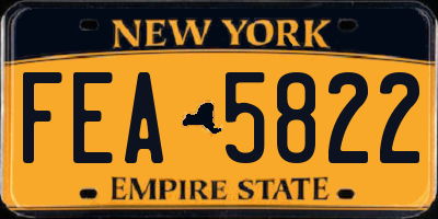NY license plate FEA5822