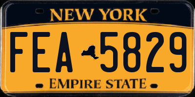 NY license plate FEA5829