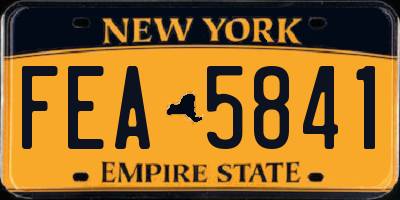 NY license plate FEA5841