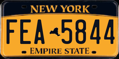 NY license plate FEA5844