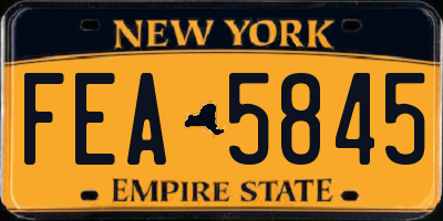 NY license plate FEA5845