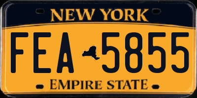 NY license plate FEA5855