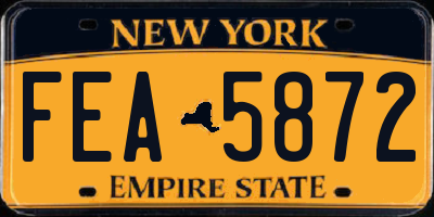 NY license plate FEA5872