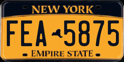 NY license plate FEA5875