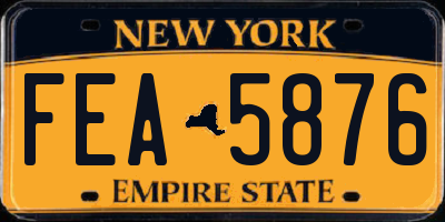 NY license plate FEA5876