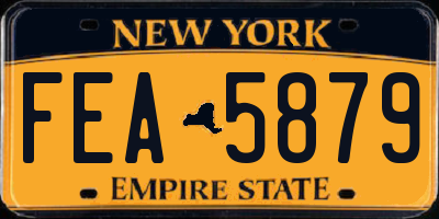 NY license plate FEA5879