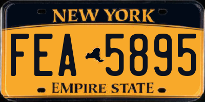 NY license plate FEA5895