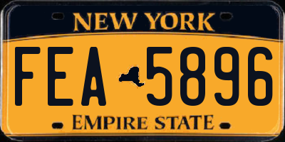 NY license plate FEA5896