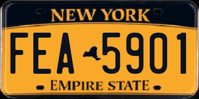 NY license plate FEA5901