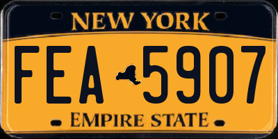 NY license plate FEA5907