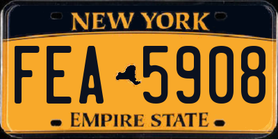 NY license plate FEA5908