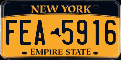 NY license plate FEA5916