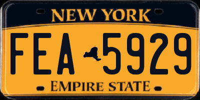 NY license plate FEA5929