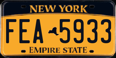 NY license plate FEA5933