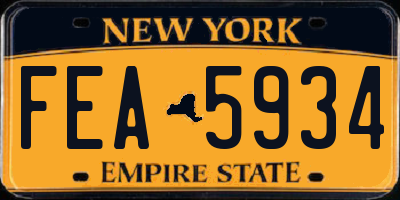 NY license plate FEA5934