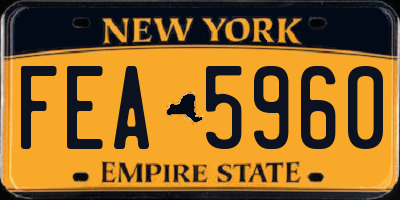 NY license plate FEA5960