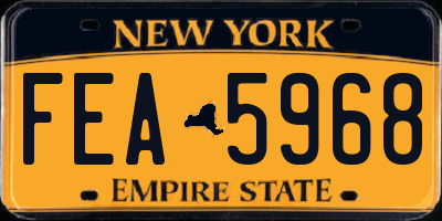 NY license plate FEA5968