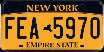 NY license plate FEA5970