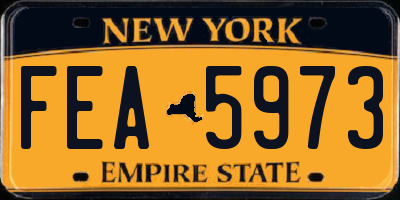 NY license plate FEA5973