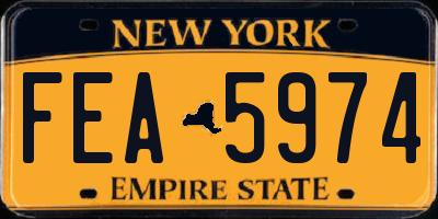NY license plate FEA5974