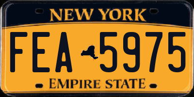 NY license plate FEA5975