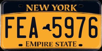 NY license plate FEA5976