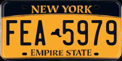 NY license plate FEA5979