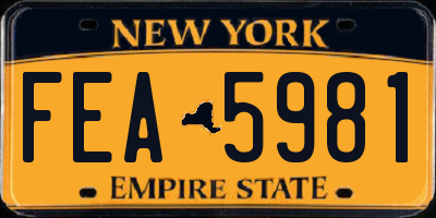 NY license plate FEA5981
