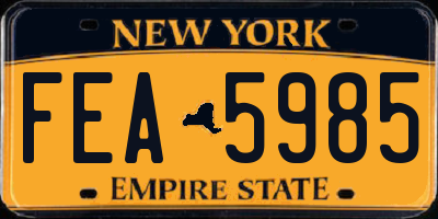 NY license plate FEA5985