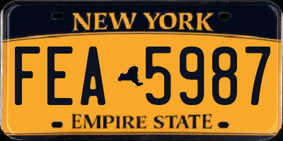 NY license plate FEA5987