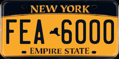 NY license plate FEA6000
