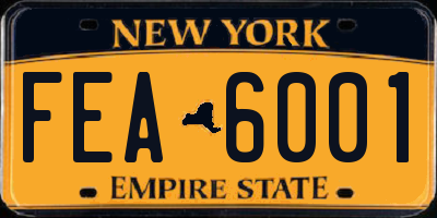 NY license plate FEA6001