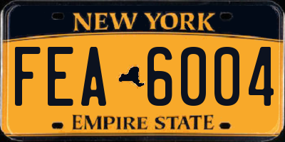 NY license plate FEA6004